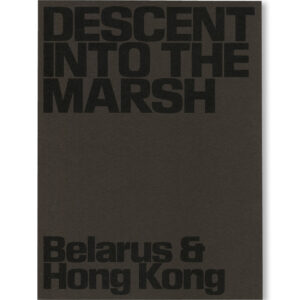 Descent into the Marsh / Lesia Pcholka