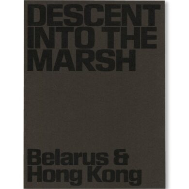 Descent into the Marsh / Lesia Pcholka