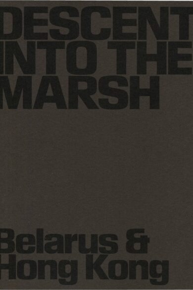 Descent into the Marsh / Lesia Pcholka