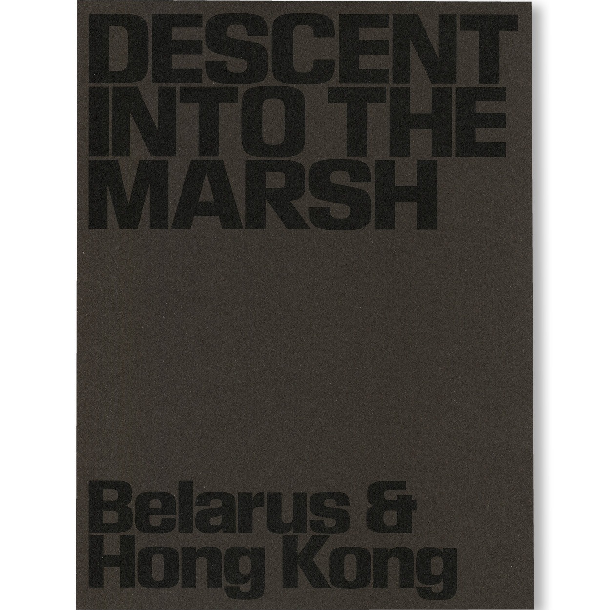 Descent into the Marsh / Lesia Pcholka